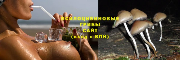соль ск Володарск