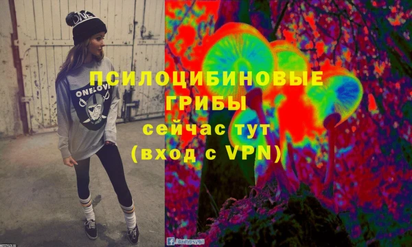 героин Ельня