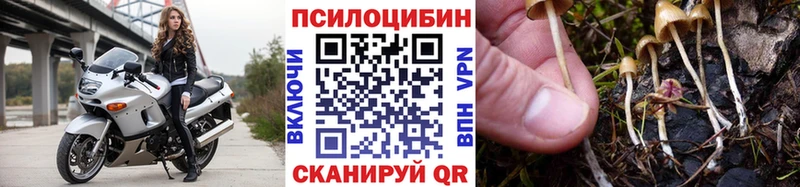 Псилоцибиновые грибы мицелий  Плёс 